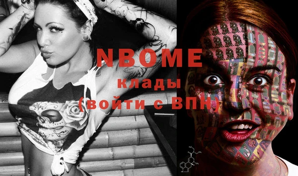 молекула духа Осташков
