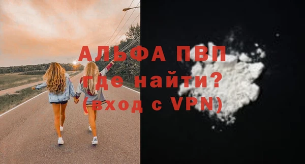 прущие грибы Осинники