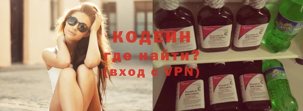 молекула духа Осташков