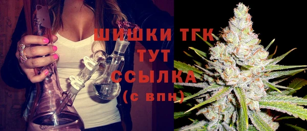 молекула духа Осташков