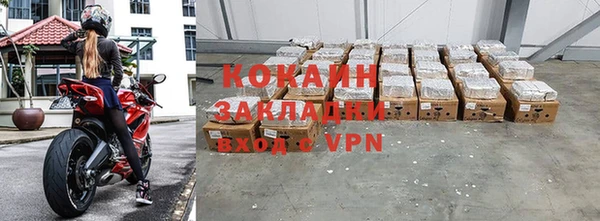 прущие грибы Осинники