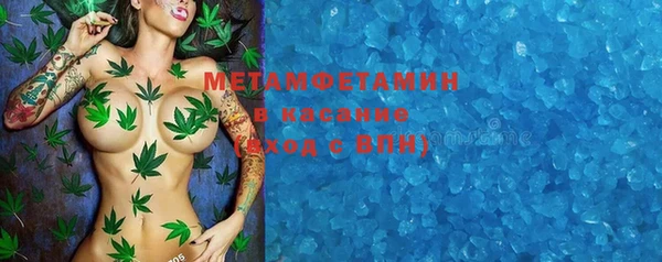 прущие грибы Осинники