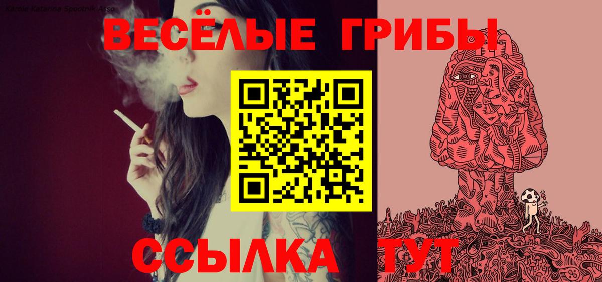 Псилоцибиновые грибы Magic Shrooms  Волжский 