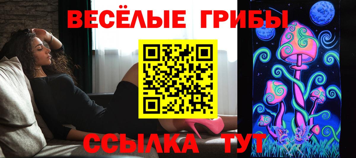 Псилоцибиновые грибы ЛСД Волжский